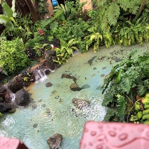 Meet your Posher, Chloe